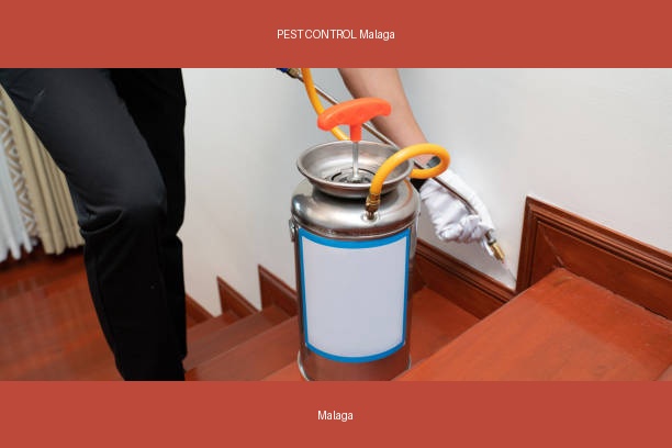 PEST CONTROL Malaga
